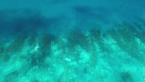 Area view of great Barrier Reef landscape aerial of gradient of blue 動画素材 268871886