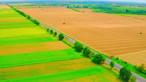 Areal of crops in a field Stock Footage 288008301