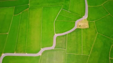 Areal of crops in a field Stock Footage 288008369