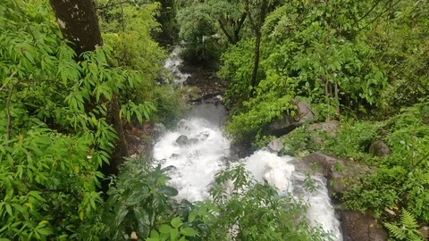 Areal downward shot of small waterfalls between dense green forest. Stock Footage