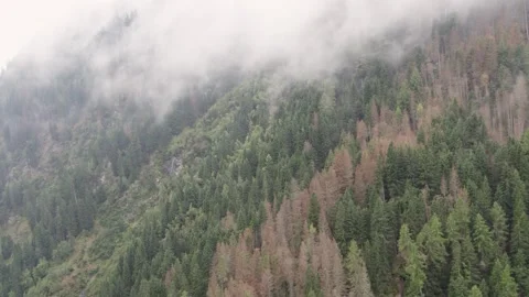 Areal footage of mountain river in Apls in cloudy day 스톡 동영상 252151847