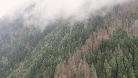 Areal footage of mountain river in Apls in cloudy day Stock-Footage 252151854