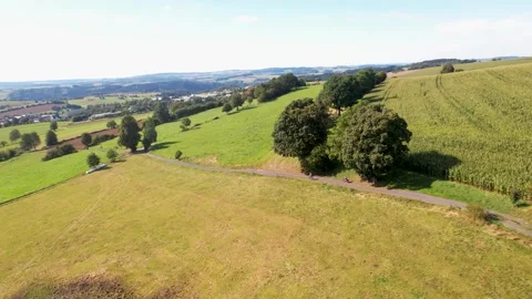 Areal footage of trail in  corn fields in summer day Stock-Footage 254204655
