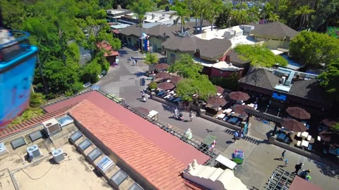 Areal People Walking at a Theme Park on a Walkway Stock Footage 247873010
