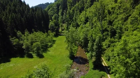 Areal of a river in a forest in Austria Stock Footage 157850068