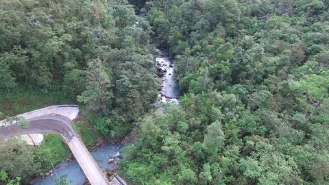 Areal of River Though Forest and Road Stock Footage 84568812