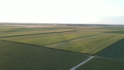 Areal shot of cultivated fields. Stock-Footage 265424348