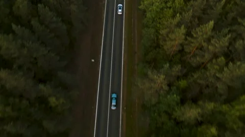 Areal view of car driving in forest road towards sunset Video stock 245653554
