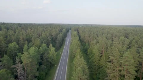 Areal view of car driving in forest road Stockbeeldmateriaal 245653564