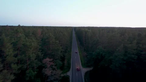 Areal view of car driving in forest road towards sunset Stockbeeldmateriaal 245653573