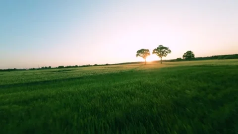 Areal View Of Crop Fields In Sunny Summer Day Video stock 243512003