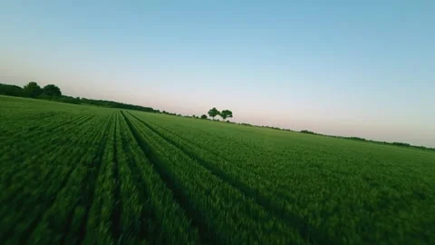 Areal View Of Crop Fields In Sunny Summer Day Video stock 243512007