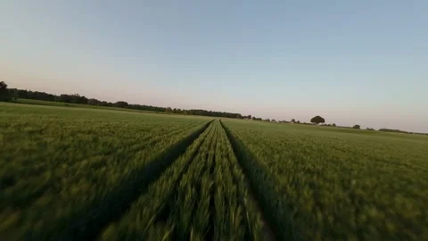 Areal View Of Crop Fields In Sunny Summer Day Video stock 243512030