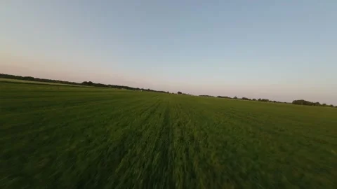Areal View Of Crop Fields In Sunny Summer Day Stockbeeldmateriaal 243512035