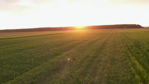 Areal View Of Crop Fields In Sunny Summer Day Stockbeeldmateriaal 243512089