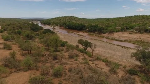 Areal view of a dirty river in the middle of the south african bush Stock Footage 71041035