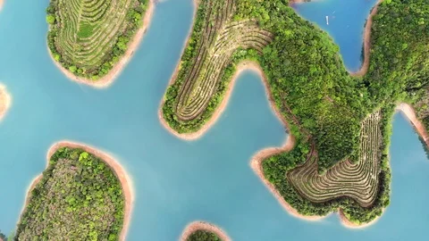 Areal View Stock Footage 89813076