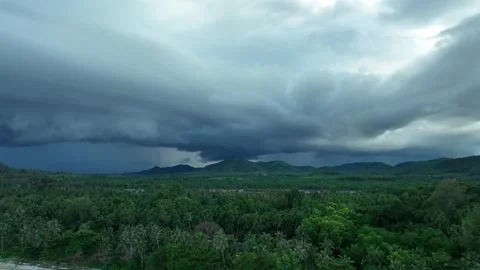 Areal view of forest and mountain during rainy season Stock Footage 308897694