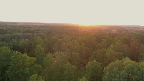 Areal View Of forest Fields In Sunny Summer Day at sunset Video stock 243512108