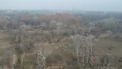 Areal view of forest Stock Footage 149318815