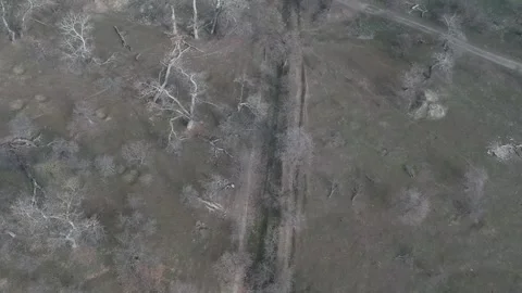 Areal view of forest Stock Footage 149318897