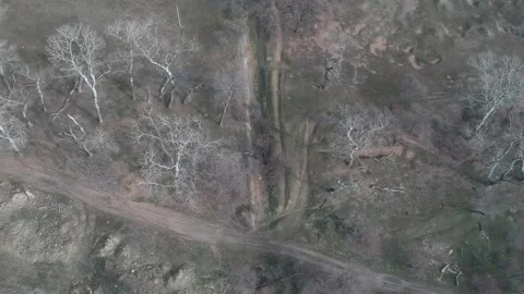 Areal view of forest Stock Footage