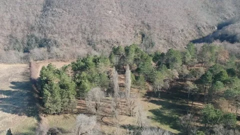 Areal view of forest Stock Footage 149319389