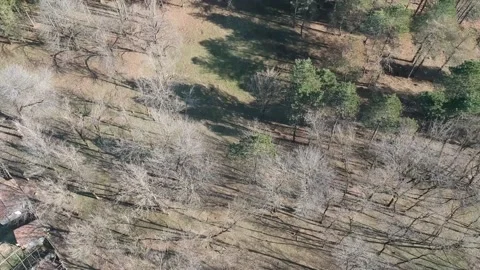 Areal view of forest Stock Footage 149319494