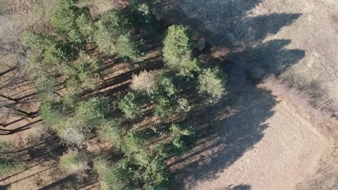 Areal view of forest Stock Footage 149319686