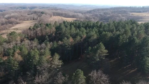 Areal view of forest Stock Footage 149320157