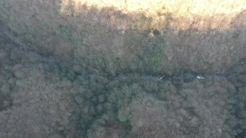 Areal view of forest Stock Footage 149320382