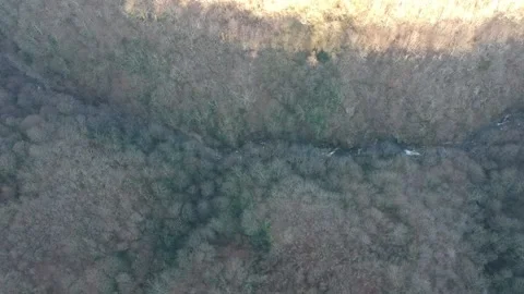 Areal view of forest Stock Footage 149320454