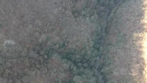 Areal view of forest Stock Footage 149320458