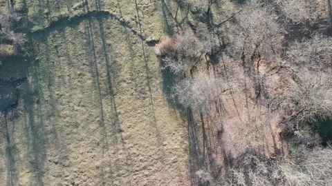 Areal view of forest Stock Footage 149320811