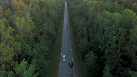 Areal view of road in the forest 스톡 동영상 137806649