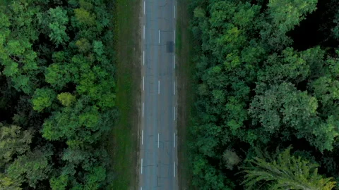 Areal view of road in the forest Stock-Footage 137806651
