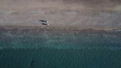 Areal view on Two people walking along seashore on sunny day. They hold hands Video stock 77610419