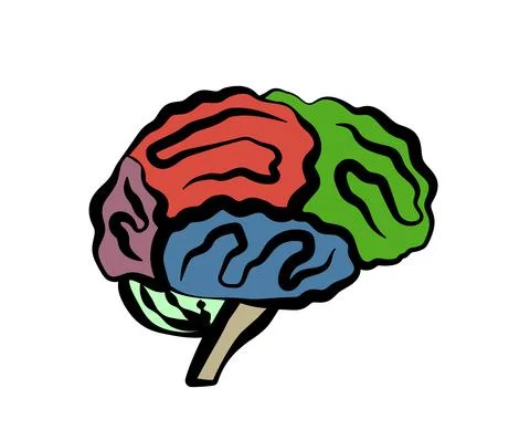 Areas of the human brain. Symbol. Vector. Stock Illustration