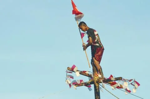 Areca climbing competition Photos
