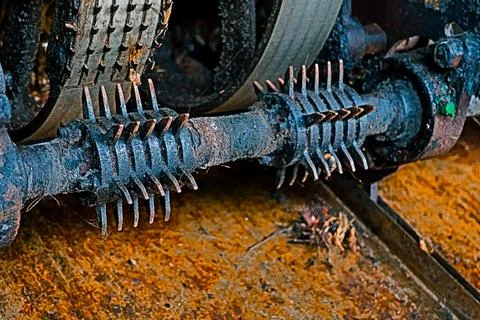 Areca Nut Operating Machine in Action – Betel Nut Processing Stock Photos