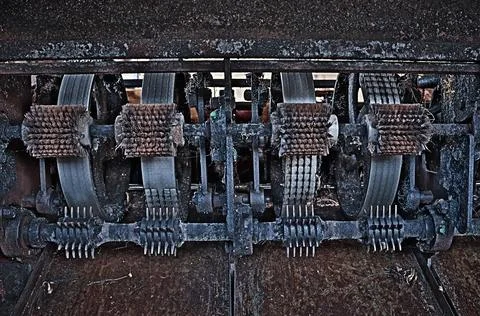 Areca Nut Operating Machine in Action – Betel Nut Processing Stock Photos