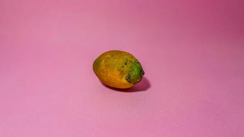 Areca nut on a pink background Stock Photos