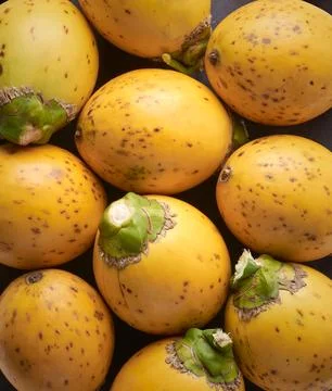 Areca nuts, fruit of the areca palm in full frame Stock Photos