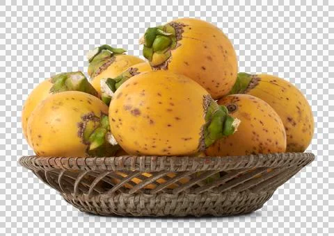 Areca nuts, fruit of the areca palm on a tray Stock Photos