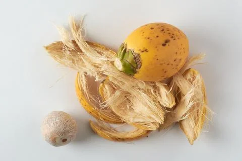 Areca nuts, fruit of the areca palm on white Stock Photos