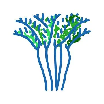 Areca palm tree icon doodle illustration Stock Illustration