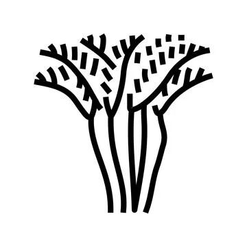 Areca palm tree line icon vector illustration Stock Illustration