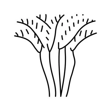 Areca palm tree line icon vector illustration Stock Illustration