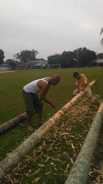 Areca tree Stock-Fotos