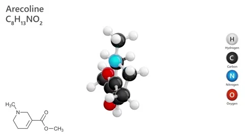 Arecoline. 3D model. C8H13NO2. White background. 3D render Stock Footage 293134744